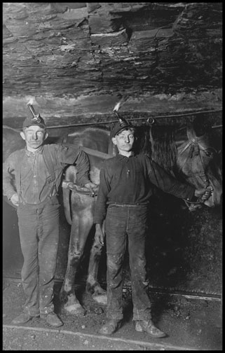 A Driver - Coal Mine - West Virginia - 1908